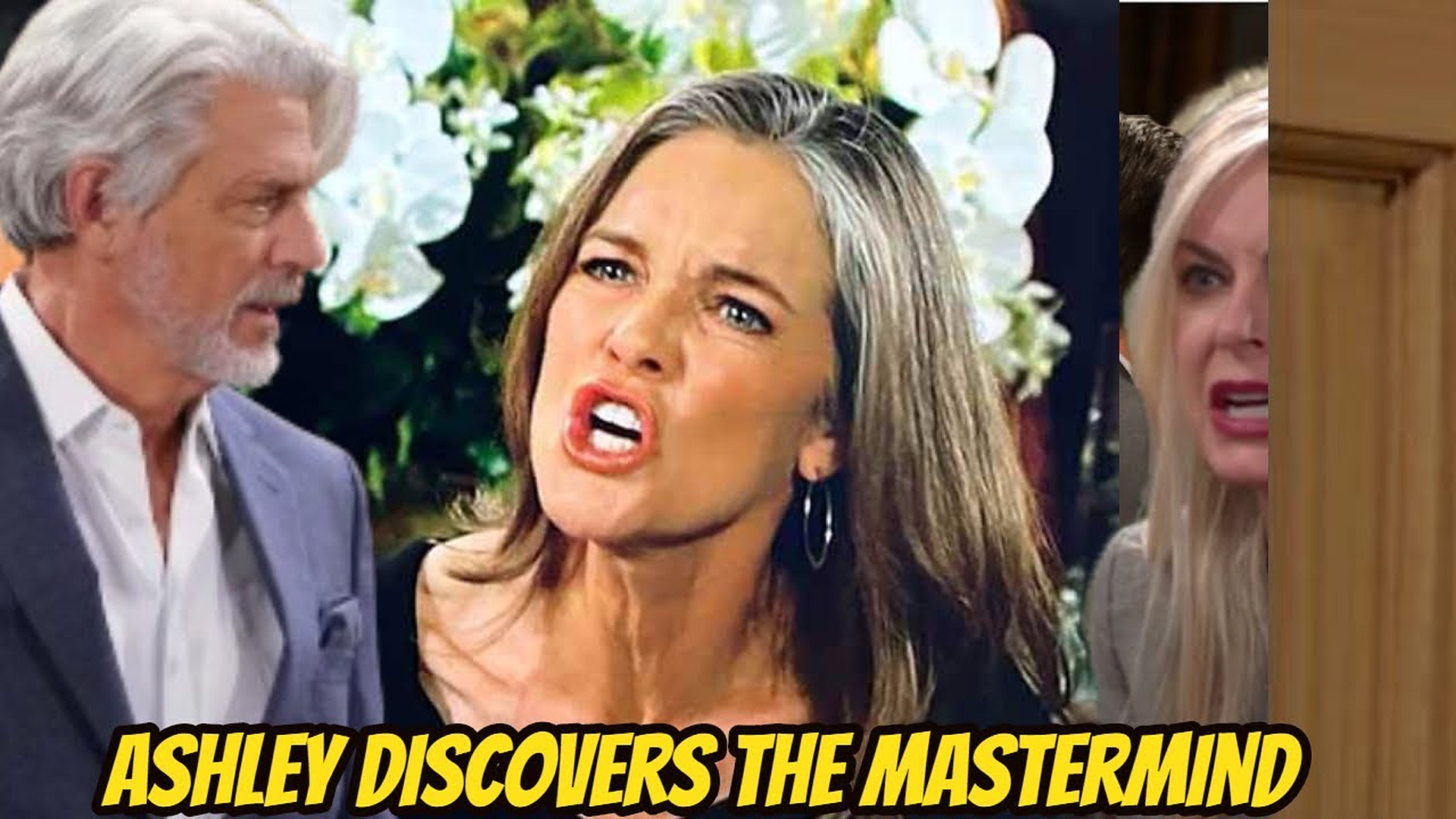 Revealing the identity of the person behind Martin's crimes, exposing Diane's true face Y&R Spoilers